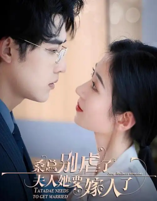 第九个证人悬疑剧全集免费在线观看
